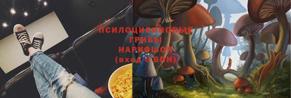 ГАЛЛЮЦИНОГЕННЫЕ ГРИБЫ Алексеевка