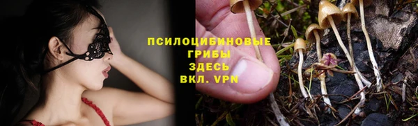 ГАЛЛЮЦИНОГЕННЫЕ ГРИБЫ Алексеевка