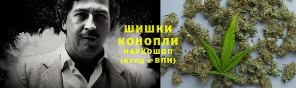 ГАЛЛЮЦИНОГЕННЫЕ ГРИБЫ Алексеевка